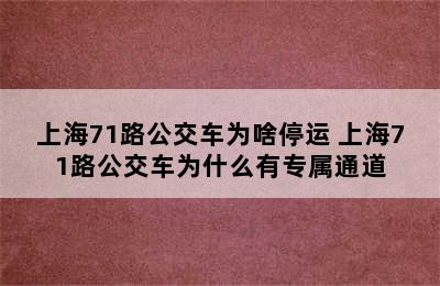 上海71路公交车为啥停运 上海71路公交车为什么有专属通道